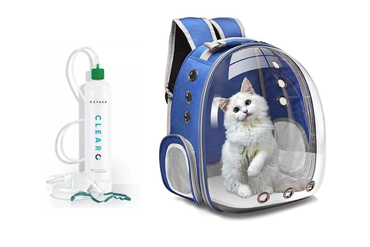 Set transport oxigen medical animale mici de companie
